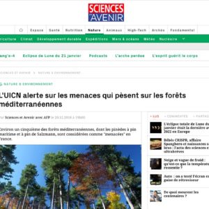 L’UICN alerte sur les menaces qui pèsent sur les forêts méditerranéennes