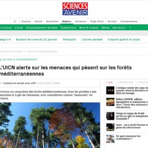 L’UICN alerte sur les menaces qui pèsent sur les forêts méditerranéennes