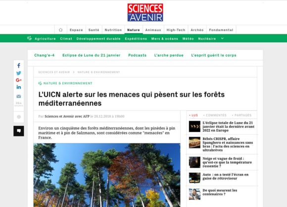 L’UICN alerte sur les menaces qui pèsent sur les forêts méditerranéennes