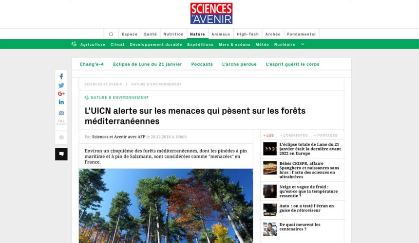 L’UICN alerte sur les menaces qui pèsent sur les forêts méditerranéennes